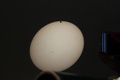 canoneos_60d_0314.jpg