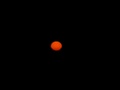 p_bartek_olympus_6060010.jpg
