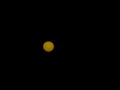 p_bartek_olympus_6060013.jpg