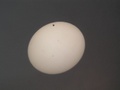 p_bartek_olympus_6060085.jpg