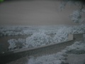 p_bartek_olympus_6060146.jpg